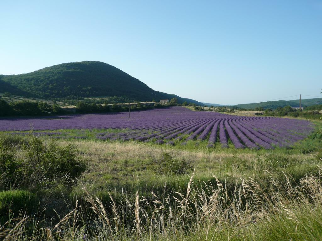 La Grange De La Lavande Lardiers Exteriör bild